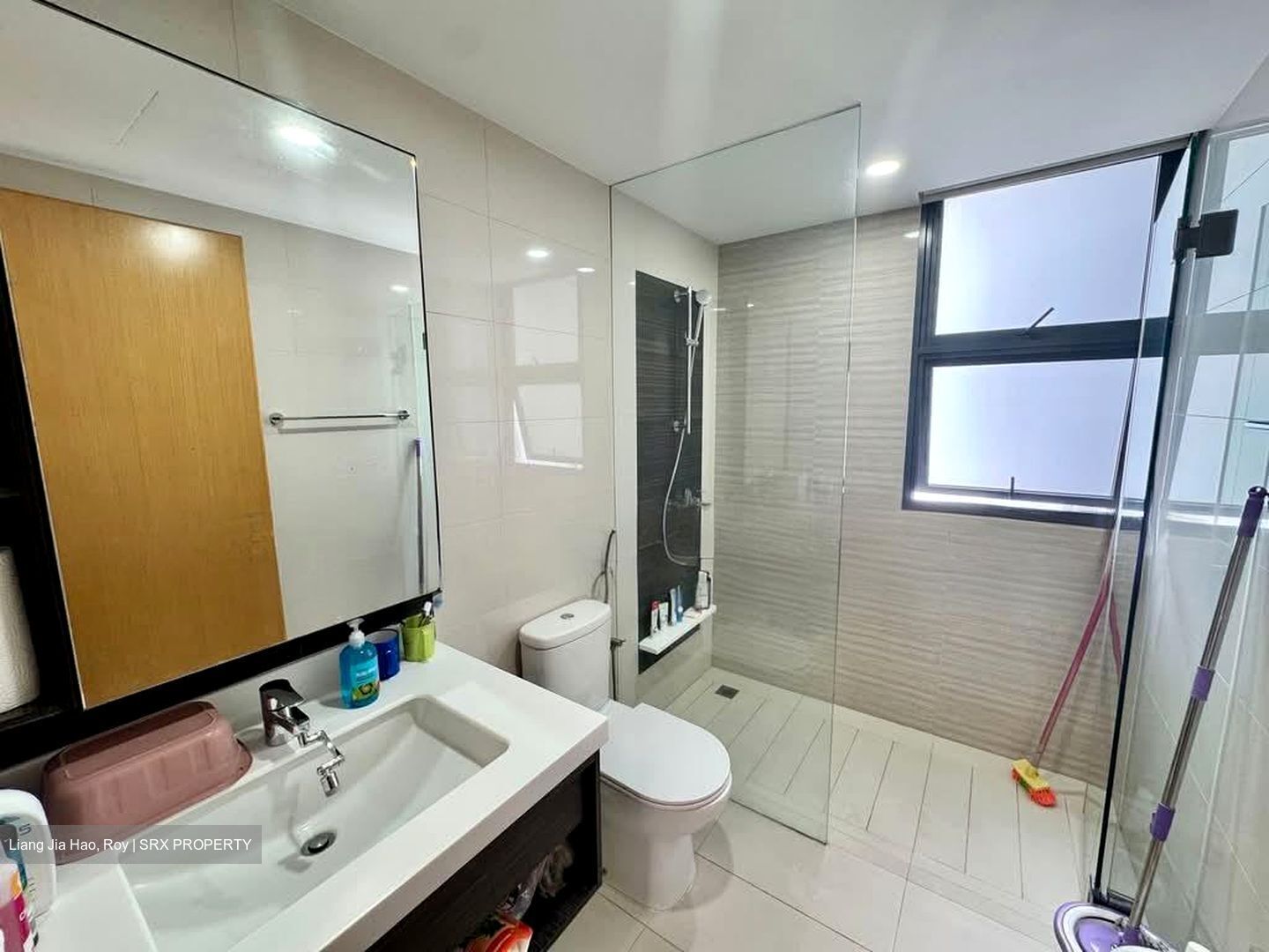 Blossom Residences (D23), Condominium #601009811